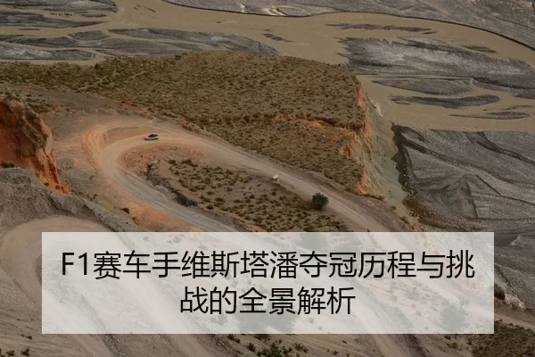 F1赛车手维斯塔潘夺冠历程与挑战的全景解析
